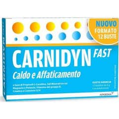 Carnidyn Fast Hot And Fatiga Suplemento 12 Sobres