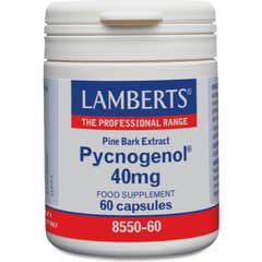 Lamberts Pycnogenol 40 Mg 60 Cap