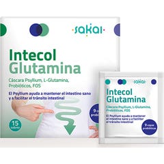 Sakai Intecol Glutamina 15 Sachets
