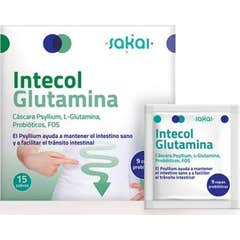 Sakai Intecol Glutamina 15 Sachets