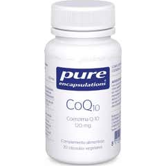 Encapsulamentos Puros Coq10 30 Caps