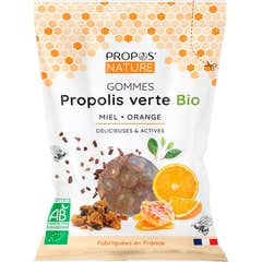 Natureza Própolis Mel/ Goma Laranja 45G