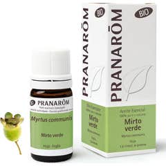 PranarÌ «m verde óleo de mirtilo BIO 5ml