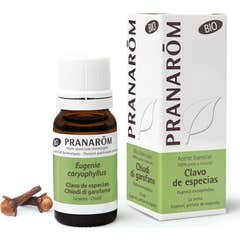 Pranar «m óleo essencial de cravo de especiarias BIO 10ml