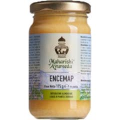 Mapa Encemap Pasta 175G