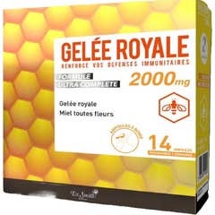 Dr. Smith Expert Gele Roy Bio Amp14