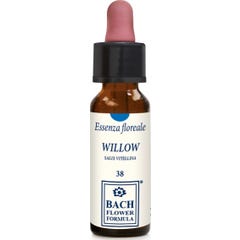 Salgueiro Herbavita Original 10Ml Gtt