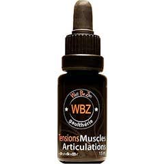 Wbz Soro de Tensão Gaultherie 15ml