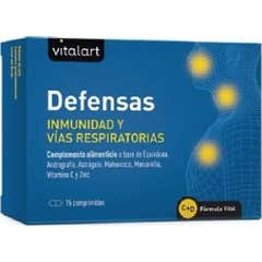 Vitalart Fenders 15comp Vitalart Fenders 15comp