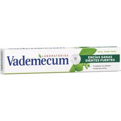 Vademecum Pasta Dental Encías Sanas y Fuertes 75ml