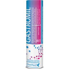 DietMed Gastromil Refluxo 20 Envelopes