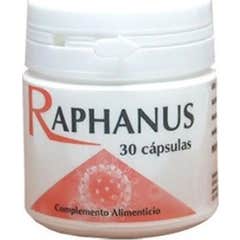 Codival Raphanus 30caps