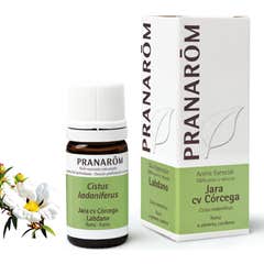 Óleo essencial de Pranaróm da Córsega Jara 5ml