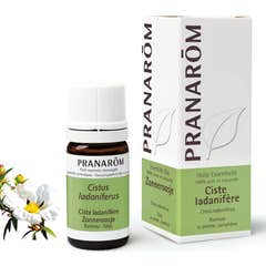Óleo essencial de Pranaróm da Córsega Jara 5ml
