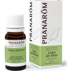 PranarÌ «m cedro Atlas 10ml de óleo essencial