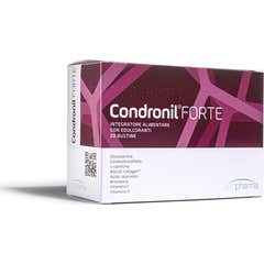 Busto Condronil Forte