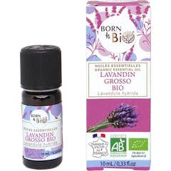 Born To Bio Óleo Essencial Lavanda Grosso Bio 10 ml
