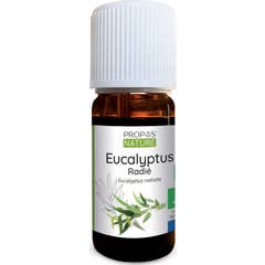 Proposta de Óleo Essencial Orgânico Eucalipto Radiata 10ml