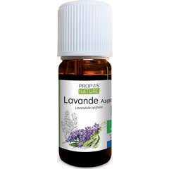 Proposta Óleo Essencial Orgânico Natural Lavanda Aspic 10ml