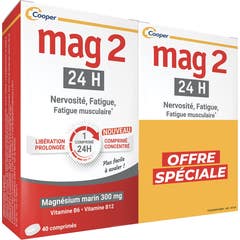 Mag2 24H Nervosismo Fadiga Vitamina B6 B12 2x40comp