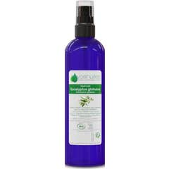 Voshuiles Hidrolato Eucalipto Globulus Cosmos 100 ml