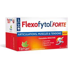 Flexofytol Forte 84comp