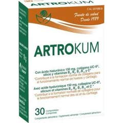 Bioserum Artrokum 30caps