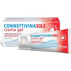 Gel Conector Guarda-Sol Cr 100G