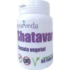 Ayurveda Shatavari 60caps