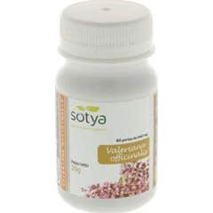 Sotya Valeriana 440mg 60 pérolas