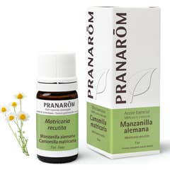 Pranarà «m flor de óleo essencial de camomila alemã 5 ml Pranarà «m flor de óleo essencial de camomila alemã 5 ml