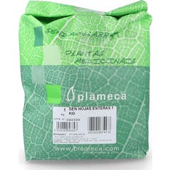 Plameca Pennyroyal Mint 1000g