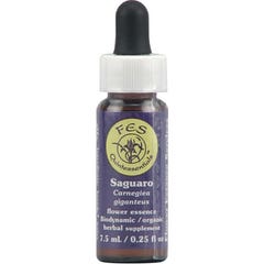 Flower Essence Services Saguaro Essenza 7,5ml