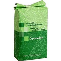 Plameca de Linhaça Inteira Semente Dourada 1 kg