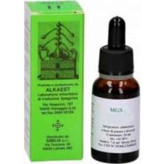 Alkaest Mgs20 Glicerina Macerada Lima 20ml