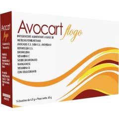 Medigi Pharma Avocart Flogo 14x4.5g