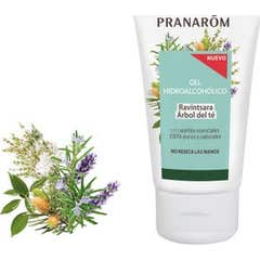 Aromaforce Gel Hidro-Alcoólico Ravintsara Árvore de Chá 50ml