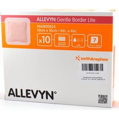 Allevyn Gb Li 10Cm X10Cm  10 T