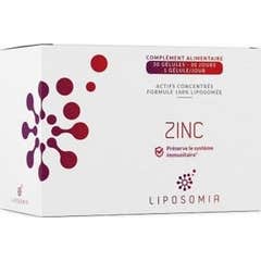 Prescrição Natureza Liposomia Zinco 30caps