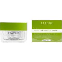 Creme Antioxidante Blast C 50 ml