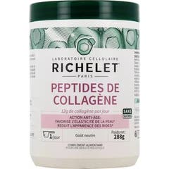Richelet Peptídeos de Colágeno 288g