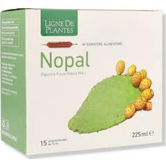 Serviço Natura Nopal 15amp