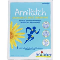 Boiron Arnipatch Calmante Efeito Calor 5 Unidades