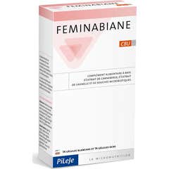 Feminabiane conforto urinol Pileje