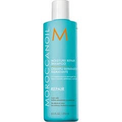 Moroccanoil Repair Moisture Champu 250ml