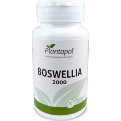 PlantaPol Boswellia 2000 30capsulas