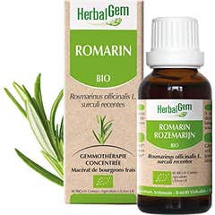 Herbalgem Romero Orgânico 50ml