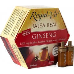 Ginseng Geleia Real Vit Royal 20 Ampolas