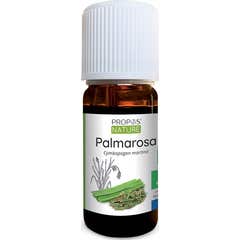 Proposta Óleo Essencial Orgânico Natural Palmarosa 10ml