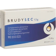 BrudySec 1